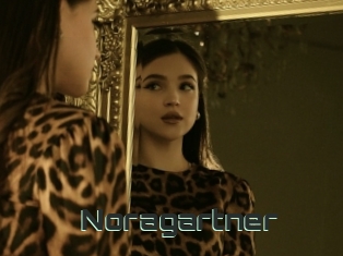 Noragartner