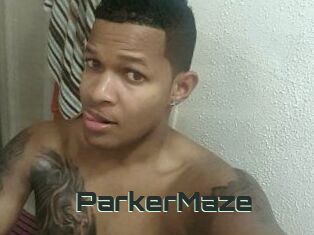 Parker_Maze