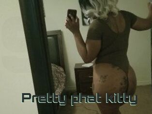 Pretty_phat_kitty