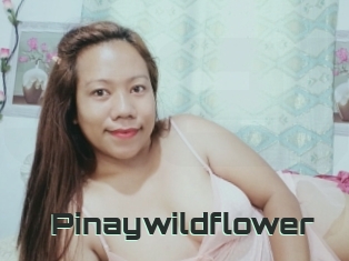 Pinaywildflower