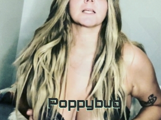 Poppybud