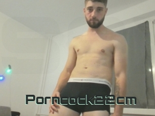 Porncock22cm