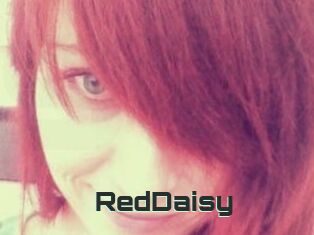 RedDaisy