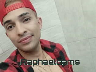 Raphaelcams