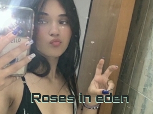 Roses_in_eden