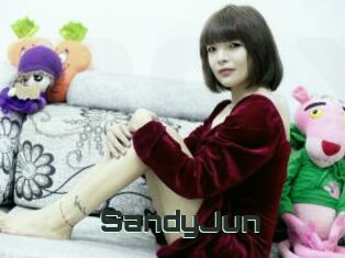 SandyJun