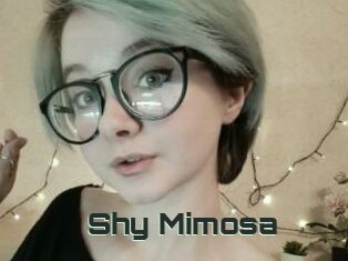 Shy_Mimosa