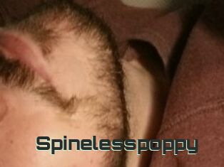 Spinelesspoppy