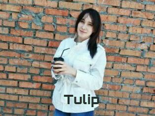 Tulip