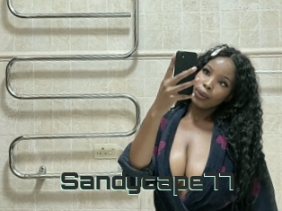 Sandycape77