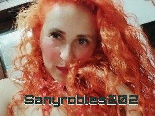 Sanyrobles202