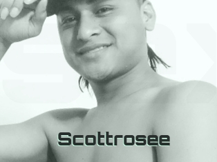 Scottrosee