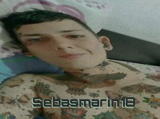 Sebasmarin18