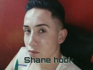 Shane_hook