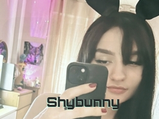 Shybunny