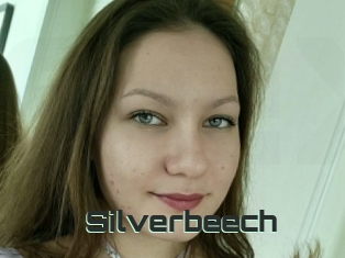 Silverbeech