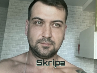 Skripa