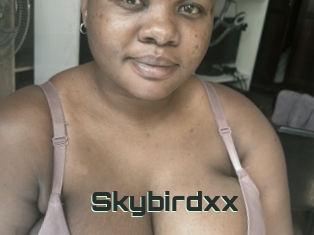 Skybirdxx