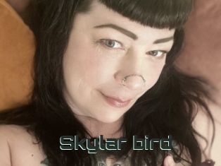 Skylar_bird