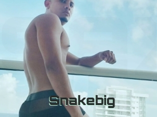 Snakebig