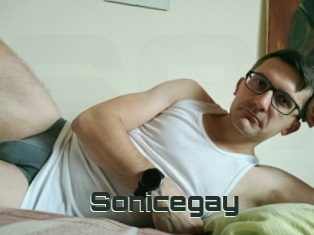 Sonicegay