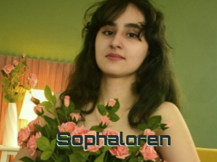 Sophaloren