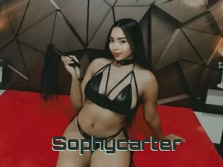 Sophycarter