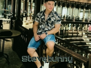 Stevebunny