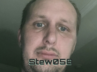 Stew058