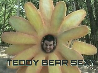 TEDDY_BEAR_SEXY