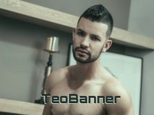 TeoBanner