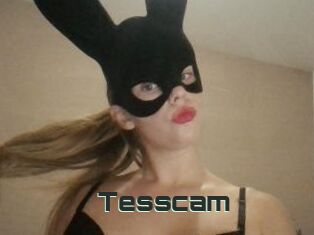 Tesscam