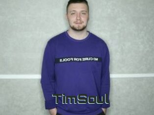 TimSoul