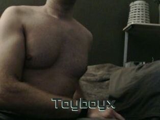 Toyboyx