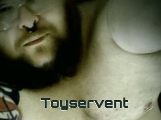 Toyservent