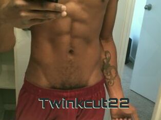 Twinkcut22