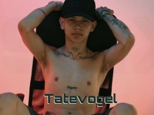 Tatevogel