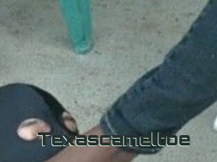 Texascameltoe