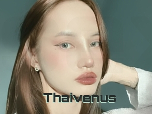 Thaivenus