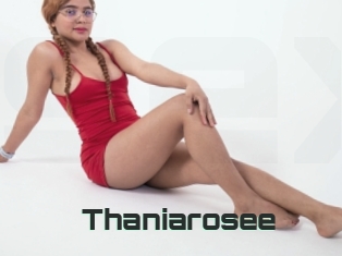 Thaniarosee