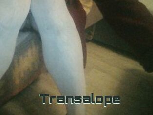 Transalope