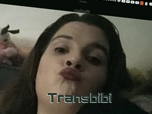 Transbibi