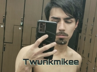 Twunkmikee