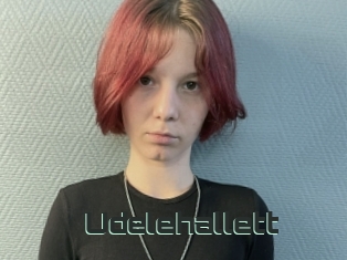 Udelehallett