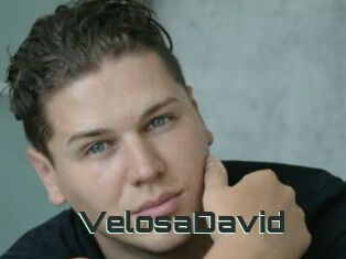 VelosaDavid