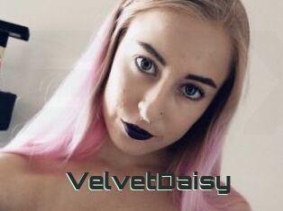 VelvetDaisy