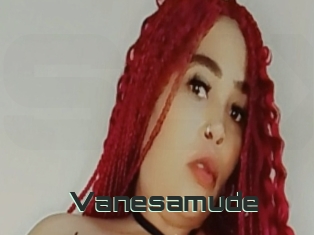 Vanesamude