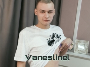 Vaneslinel