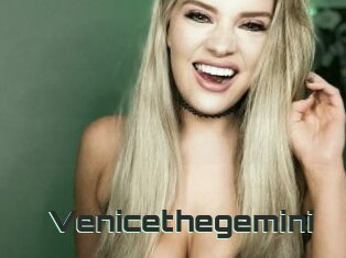 Venicethegemini