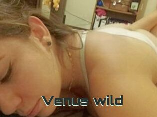 Venus_wild